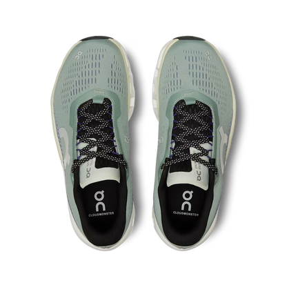 On Running Cloudmonster 2