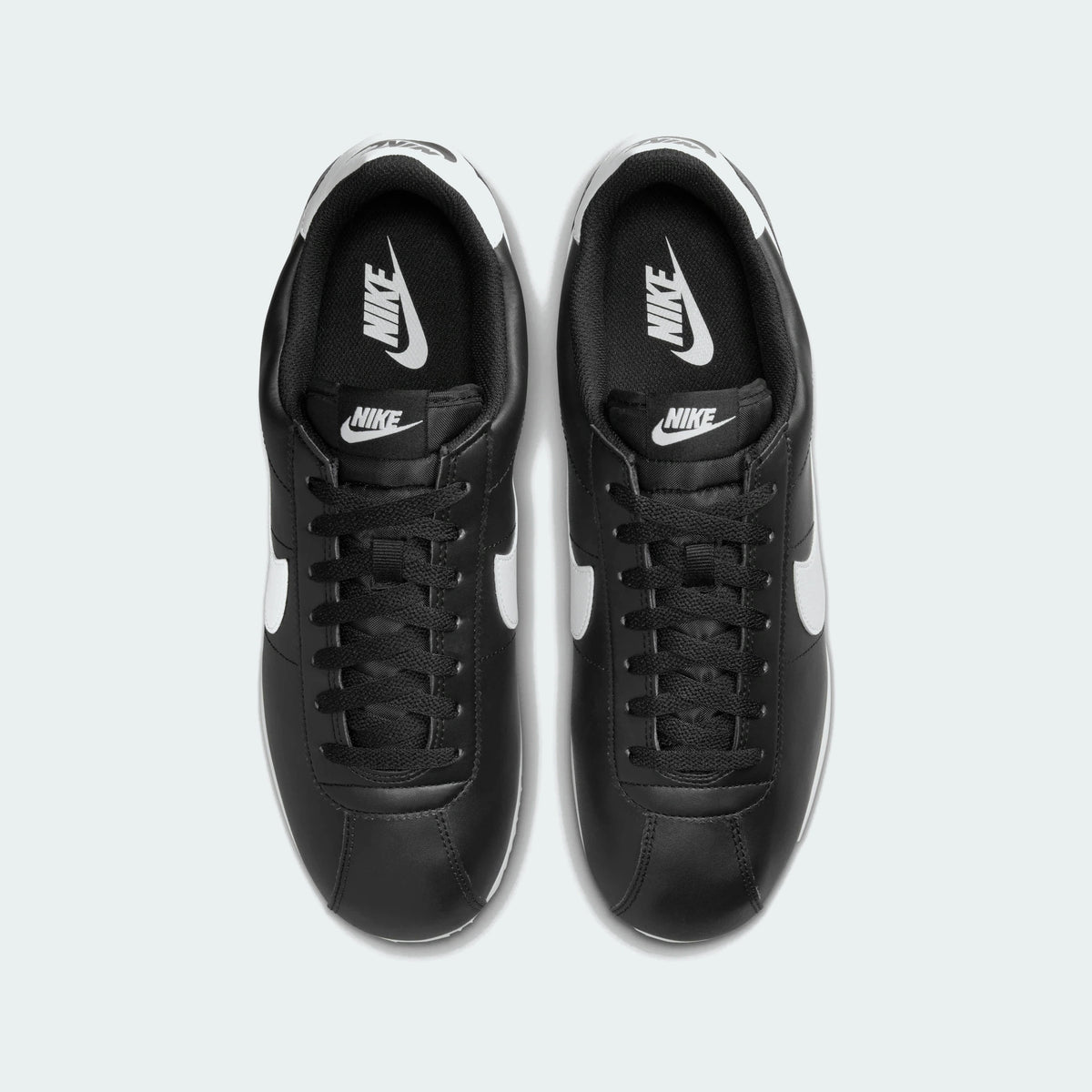 Black / White
